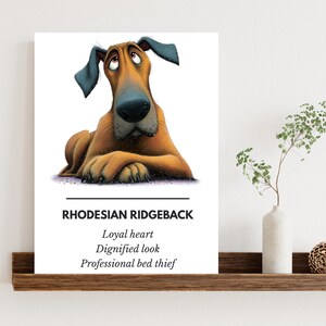 May include: A framed print with a cartoon Rhodesian Ridgeback illustration. The dog is brown and tan with blue ears, and the text below reads "Loyal heart, Dignified look, Professional bed thief."