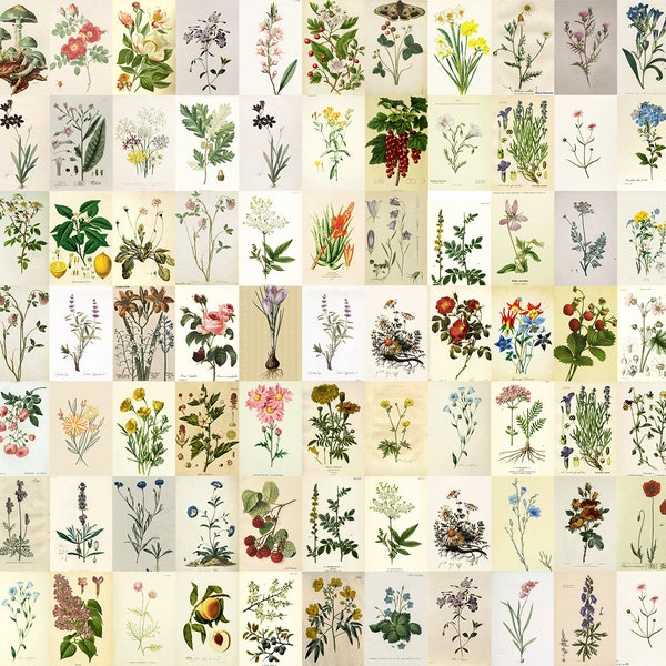 80 PCS | Boujee Vintage Botanic Poster Wall Collage Kit | Retro Aesthetic Photo Collage | Botanical Plants Pictures Room Decor