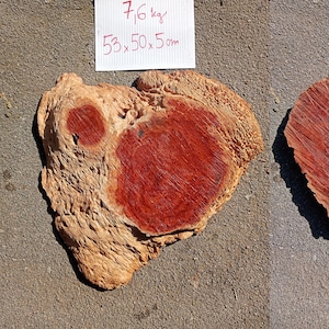 Red Mallee Burl Wood Block: Sustainable Wood Arts & Crafts (20.9x19.7x2&quot;)