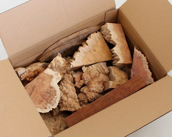 Australian Eucalyptus Burl Cutoffs: Kiln Dried Woodworking Supplies