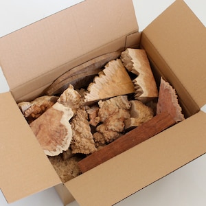 Loupe australienne de coupe, loupe de Goldfield, loupe d&#39;eucalyptus, bois dur australien, bois exotique pour le tournage sur bois, bois brut pour le travail du bois