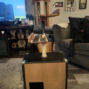 Cat Tree