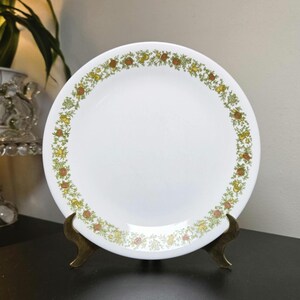 May include: A round white dinner plate featuring a decorative border pattern of small green leaves and various orange and yellow fruits. The plate has a smooth, glossy finish and a clean center, displayed upright on a dark metal stand.