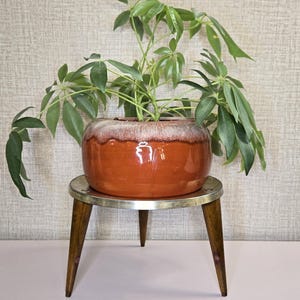 May include: A potted plant with green leaves in a round, orange ceramic pot with a white rim. The pot sits on a small, three-legged wooden plant stand with a silver metal top. The background is a textured, neutral-toned wall.