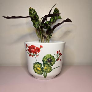 May include: A white ceramic plant pot with a floral design, featuring red flowers and green leaves. The pot contains a plant with green and dark burgundy leaves. The pot is on a pink surface.
