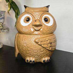May include: A brown ceramic owl cookie jar with a removable lid. The owl features large white circular eyes with black pupils, a pointed beak, and textured feather details across its body. Black paint accents highlight the ear tufts, wing tips, and feet.