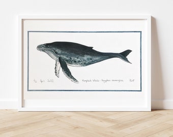 Large Humpback whale limited edition collage