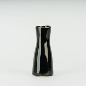 May include: A black ceramic vase with a rounded, slightly flared base and a narrow neck. The vase has a glossy finish.