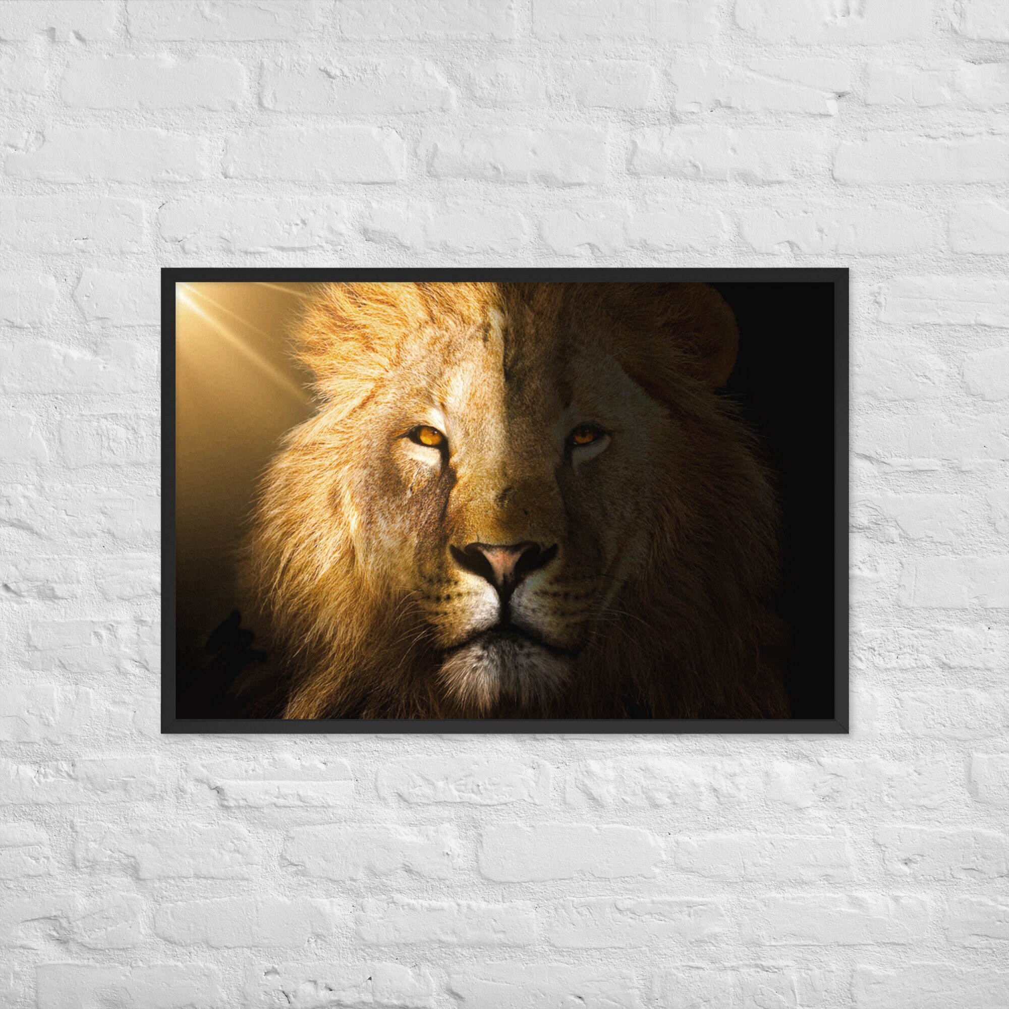 Poster 61cm/91cm Lion King Of The Jungle