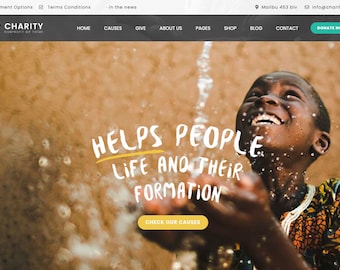 Charity & Fundrasing WordPress Theme