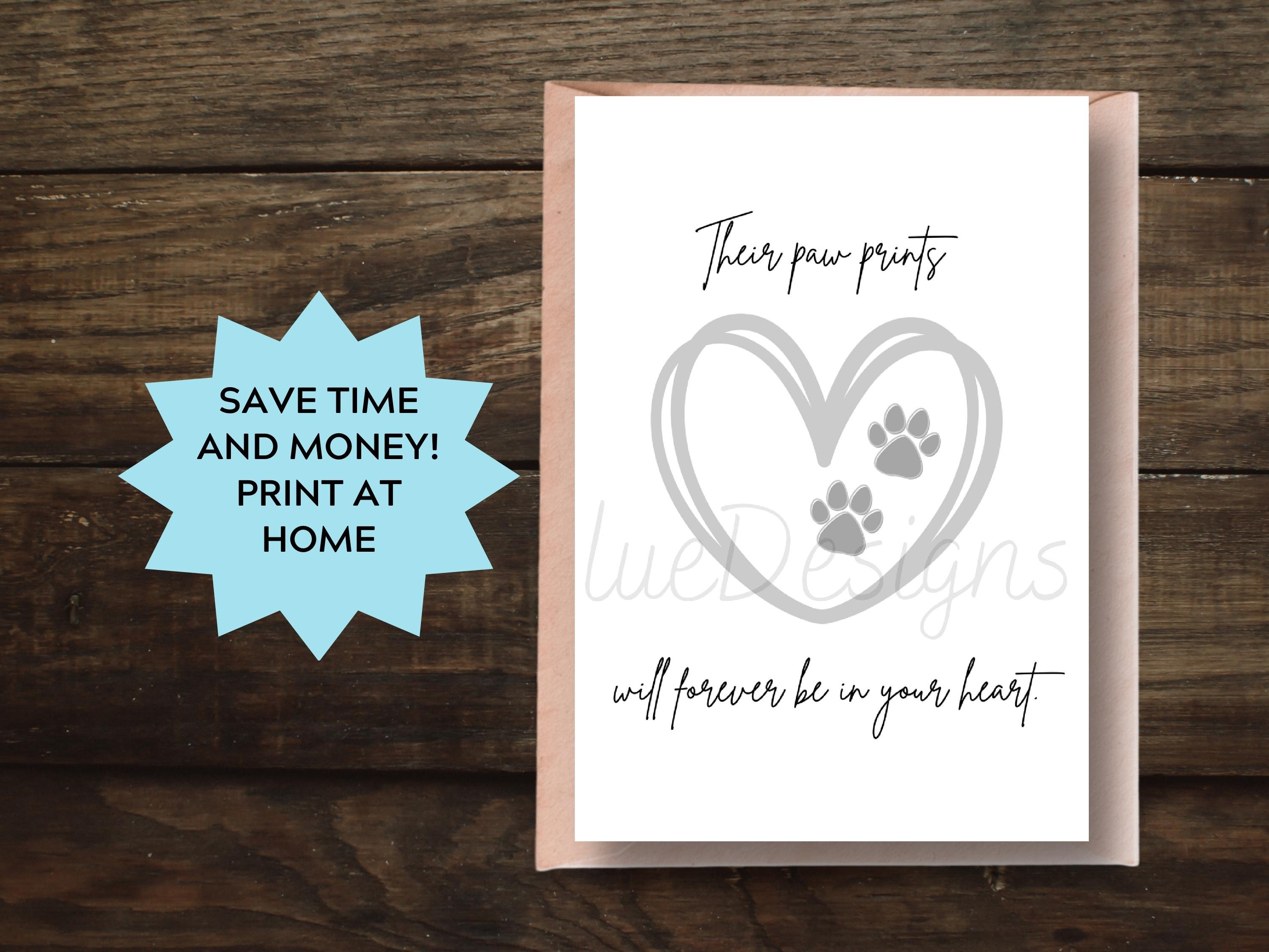 Biglietti Di Pasqua Con Pulcino - Biglietti Da Stampare, image size:3000x2250