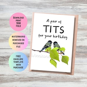 Carte d'anniversaire drôle d'observation des oiseaux imprimable, carte d'anniversaire drôle d'amant d'oiseau, carte d'anniversaire de jeu de mots de mésange d'oiseau, une paire de seins pour votre anniversaire