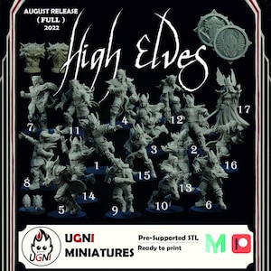 High Elves - UGNI miniatures - Fantasy Football