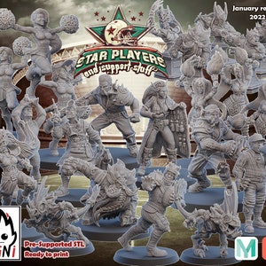 Star Player and Support Stuff  January 2023 ( 19 models )  - UGNI miniatures- Fantasy Football