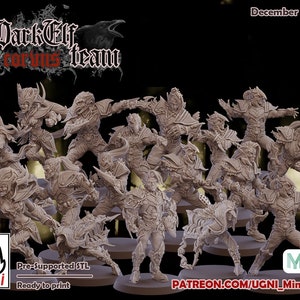 Dark elves Team - UGNI miniatures- Fantasy Football