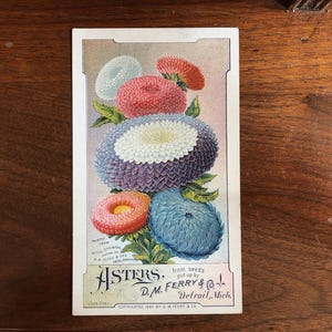 May include: Vintage seed packet featuring colorful aster flowers in shades of red, blue, and white. The packet includes the text "ASTERS, D.M. FERRY & Co. Detroit, Mich." and is set against a white background.