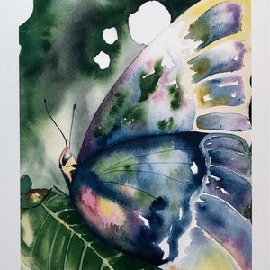 Watercolor dreamy butterfly blank greeting cards, butterfly notecards