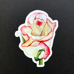 Watercolor pink rose waterproof vinyl stickers, June birthday gifts