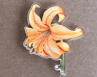 ・ lily (⁠◍⁠•⁠ᴗ⁠•⁠◍⁠)⁠❤ il_340x270.3942648922_7930.jpg