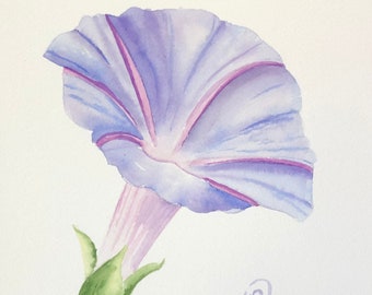 Watercolor morning glory flower art print, September birth month flower art decor