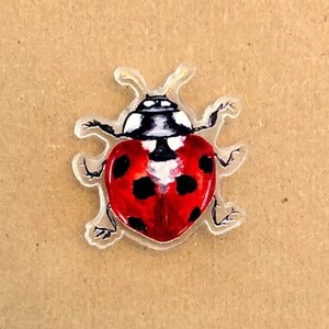 Ladybug Acrylic Pin, insect brooch