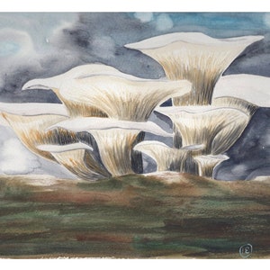 Watercolor oyster mushrooms blank greeting cards, mushroom notecards, fungi folded cards