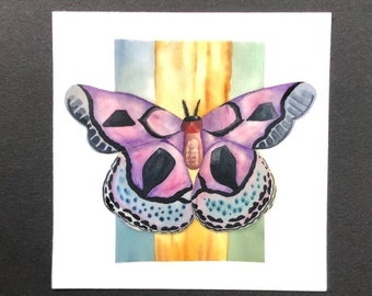 Watercolor moth clear vinyl sticker, waterproof moth decals, clear stickers