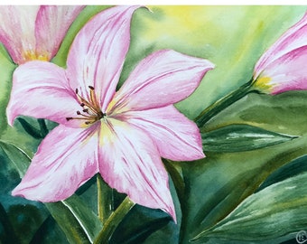 Watercolor pink lily flower fine art print, botanical wall decor