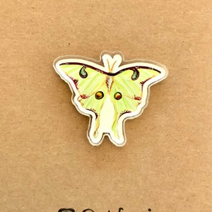 Luna Moth Acrylic Pin