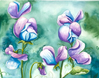 Watercolor sweet pea flower art print, botanical wall decor