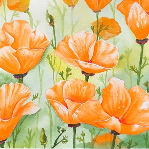 California orange poppy flower field watercolor botanical wall art