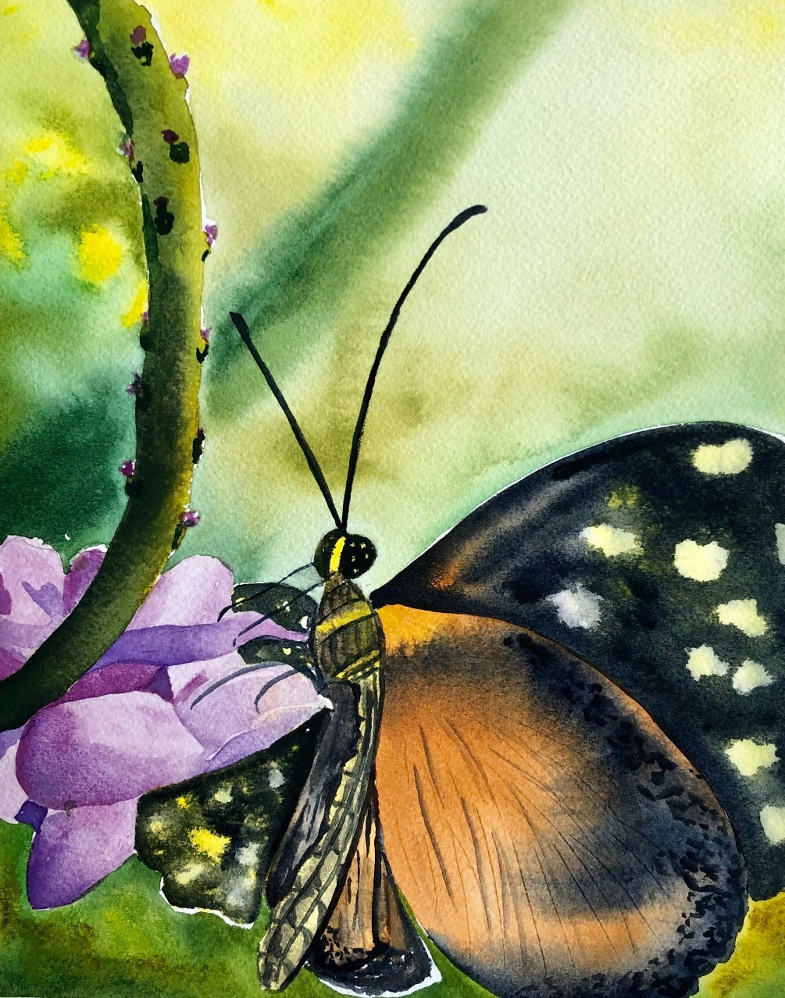 Watercolor Home Decor Monarch Butterfly Fine Art Print - Etsy
