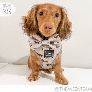 Adjustable Harness - WHIMSICAL WEENS