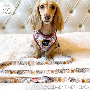 Floral Dog Harness for Small Dogs, Pink Flower Adjustable Step In Harness, Cute Dog Harness, Dachshund Harness, Dog Mom Gift, Doxie Harness image 4