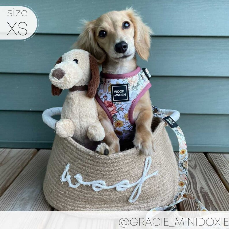 Floral Dog Harness for Small Dogs, Pink Flower Adjustable Step In Harness, Cute Dog Harness, Dachshund Harness, Dog Mom Gift, Doxie Harness image 8