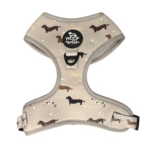 Dachshund Harness Adjustable, Wiener Dog Harness, Cute Doxie Harness, Mini Dachshund Harness, Dachshund Gift, Dachshund Mom Gift image 1