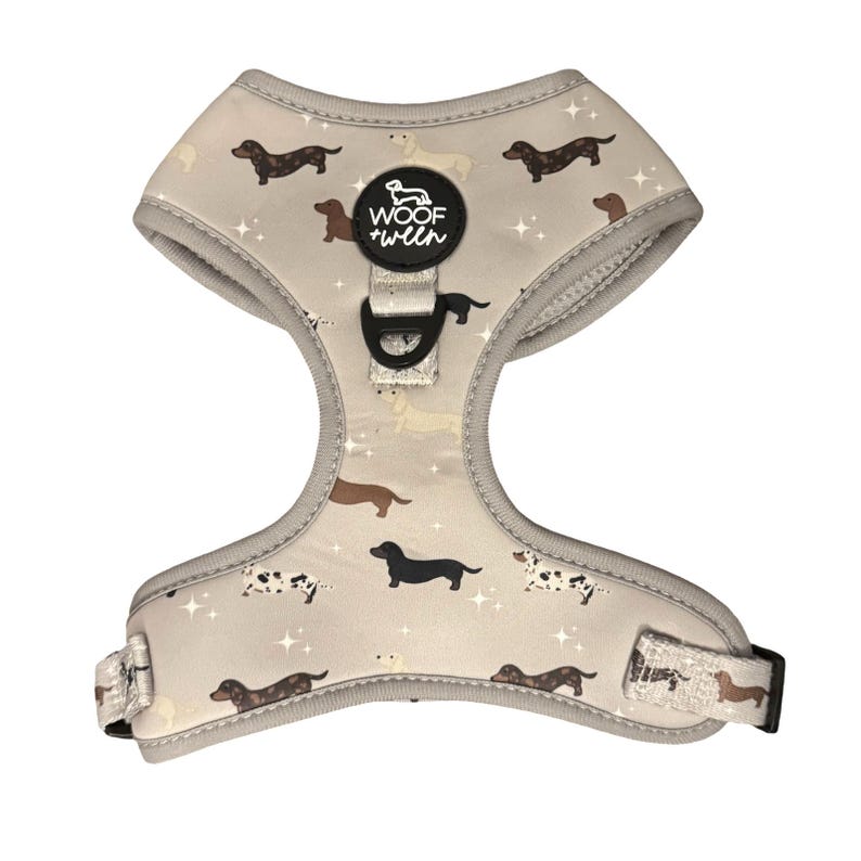 Dachshund Harness Adjustable, Wiener Dog Harness, Cute Doxie Harness, Mini Dachshund Harness, Dachshund Gift, Dachshund Mom Gift image 1