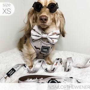 Adjustable Harness - WHIMSICAL WEENS