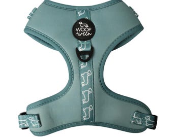 Adjustable Dachshund Harness - Teal Doxies, Doxie Accessories, Wiener Dog Harness, Doxie Lover Gift