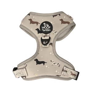 Dachshund Harness Adjustable, Wiener Dog Harness, Cute Doxie Harness, Mini Dachshund Harness, Dachshund Gift, Dachshund Mom Gift image 11
