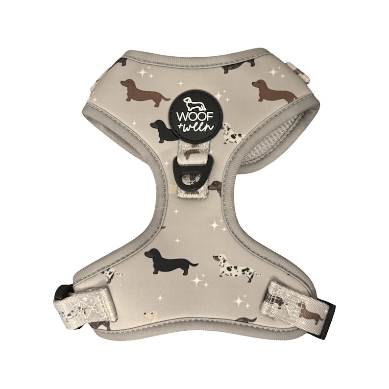 Dachshund Harness Adjustable, Wiener Dog Harness, Cute Doxie Harness, Mini Dachshund Harness, Dachshund Gift, Dachshund Mom Gift image 11