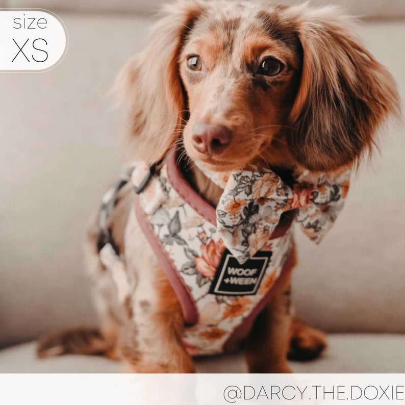 Floral Dog Harness for Small Dogs, Pink Flower Adjustable Step In Harness, Cute Dog Harness, Dachshund Harness, Dog Mom Gift, Doxie Harness image 9