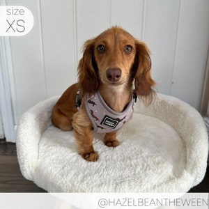 Adjustable Harness - WHIMSICAL WEENS
