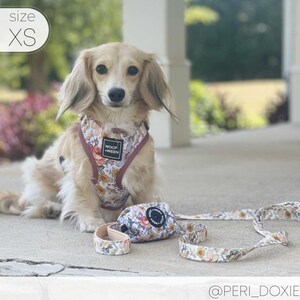 Floral Dog Harness for Small Dogs, Pink Flower Adjustable Step In Harness, Cute Dog Harness, Dachshund Harness, Dog Mom Gift, Doxie Harness image 5