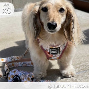 Floral Dog Harness for Small Dogs, Pink Flower Adjustable Step In Harness, Cute Dog Harness, Dachshund Harness, Dog Mom Gift, Doxie Harness image 6