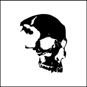 Skull Side Vinyl Decal