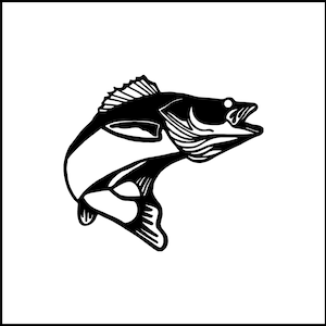 Vinylsticker Snoekbaarzen bas vissen