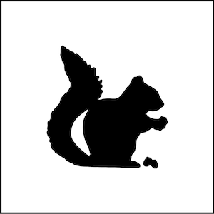 Squirrel With Nuts Acorns Vinyl Decal