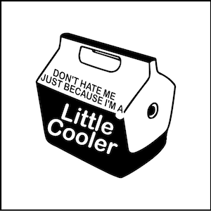 Don&#39;t Hate Me Just Because I&#39;m A Little Cooler Funny Vinyl Decal