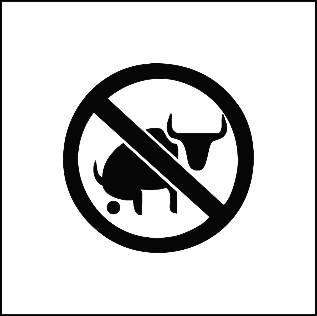 No Bull Crap Funny Vinyl Decal/sticker for Etsy